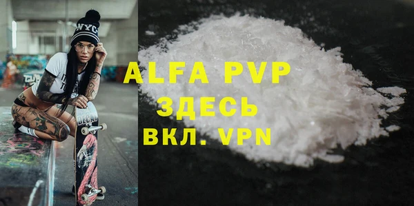 шишки Инта