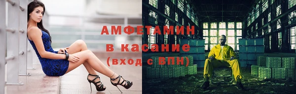 шишки Инта