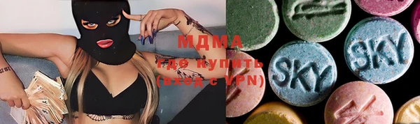 шишки Инта