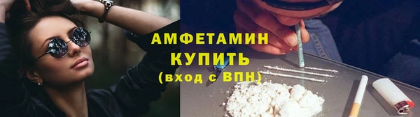 шишки Инта