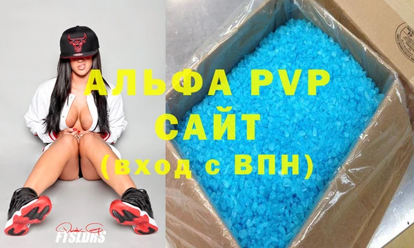 шишки Инта