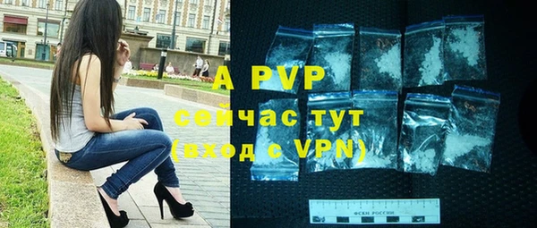 шишки Инта