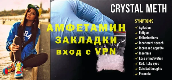 шишки Инта