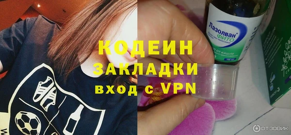 шишки Инта