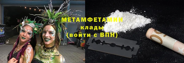 шишки Инта