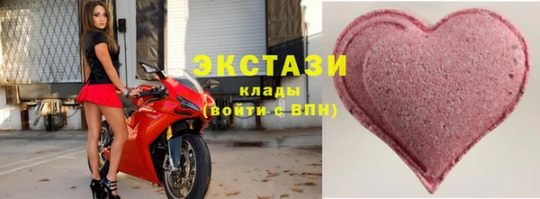 шишки Инта