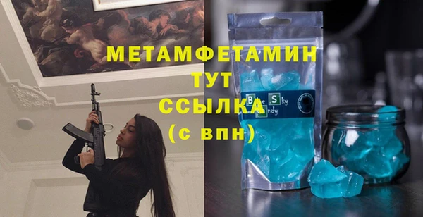 шишки Инта