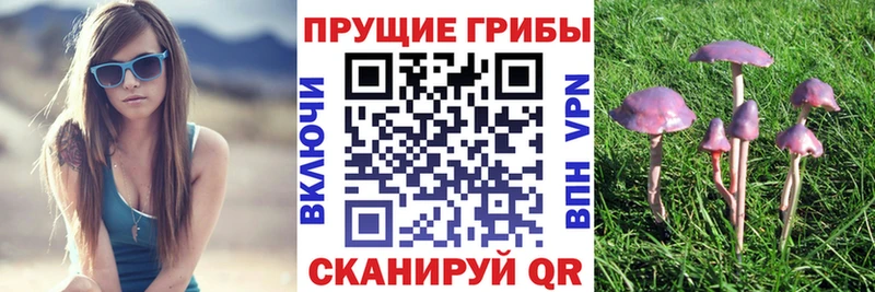 Галлюциногенные грибы ЛСД Верхний Тагил