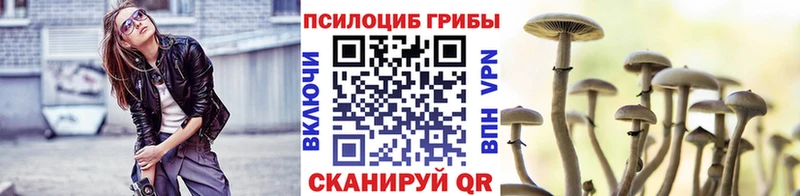 Псилоцибиновые грибы мицелий  Купить где  Верхний Тагил 